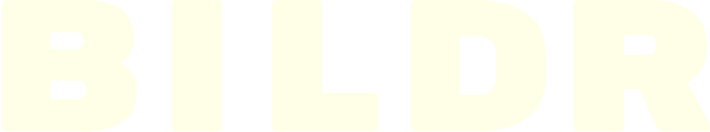 Bildr logo